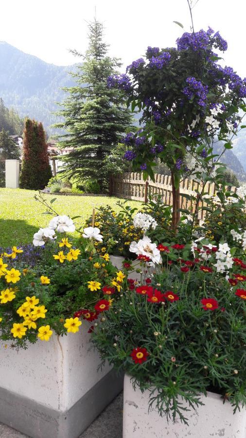 Bed and Breakfast Haus Edelweiss Єрценс Екстер'єр фото